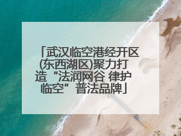 武汉临空港经开区(东西湖区)聚力打造“法润网谷 律护临空”普法品牌